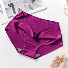 Ladies Silk Underwear